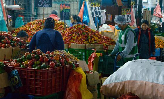 Crise alimentaire mondiale : « Une action urgente s’impose », avertissent 5 organisations internationales